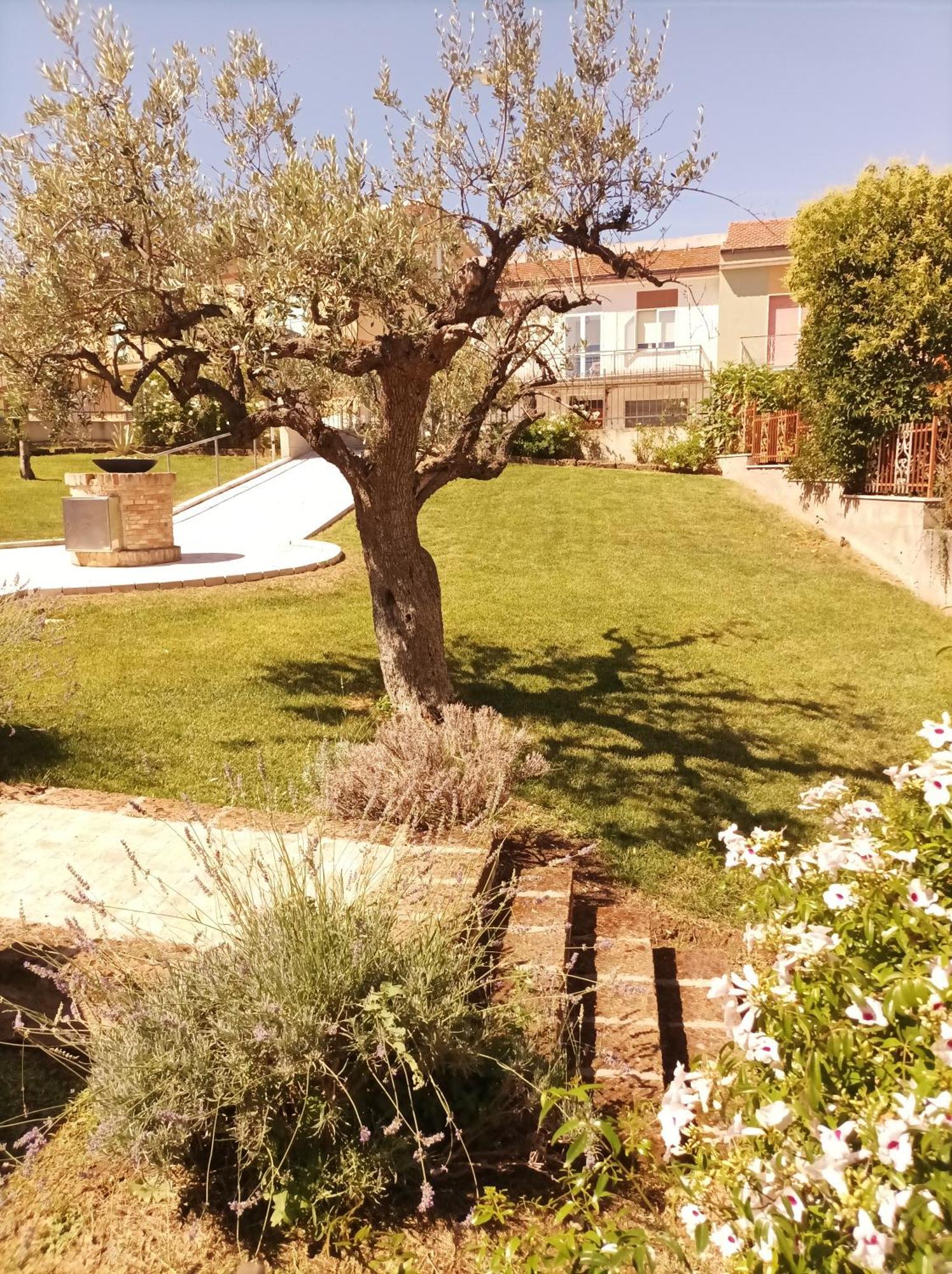 Cupello Villa Istonia מראה חיצוני תמונה