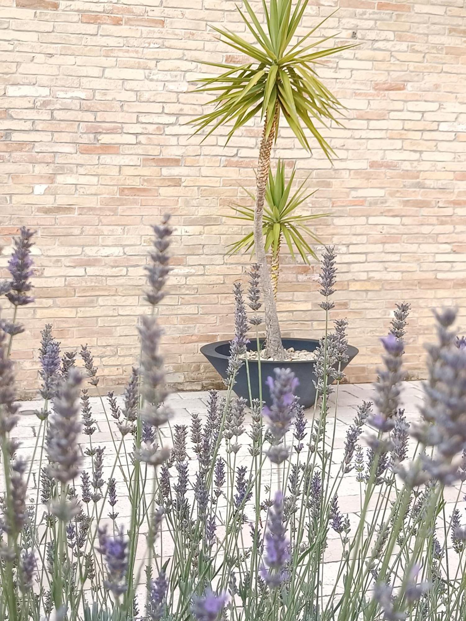 Cupello Villa Istonia מראה חיצוני תמונה